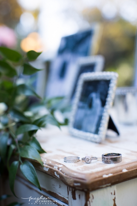 Twin Oaks House and Garden Estate Wedding Rings Photo
