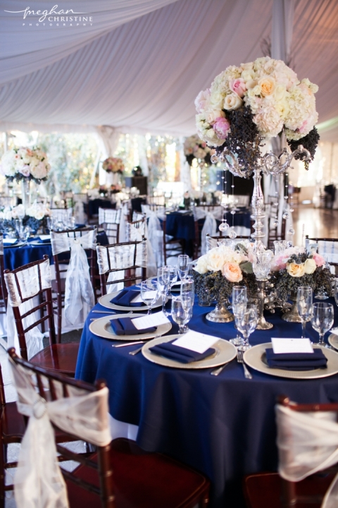 Twin Oaks House and Garden Estate Wedding Reception Photo