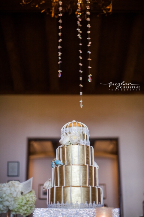 Four Seasons Biltmore Wedding Birdcage Cake Photo