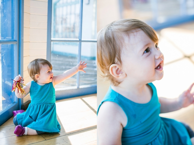 SantaMonica_Pier_Carousel_0002