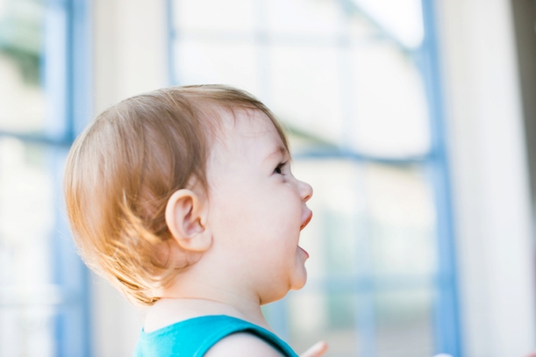 SantaMonica_Pier_Carousel_0004